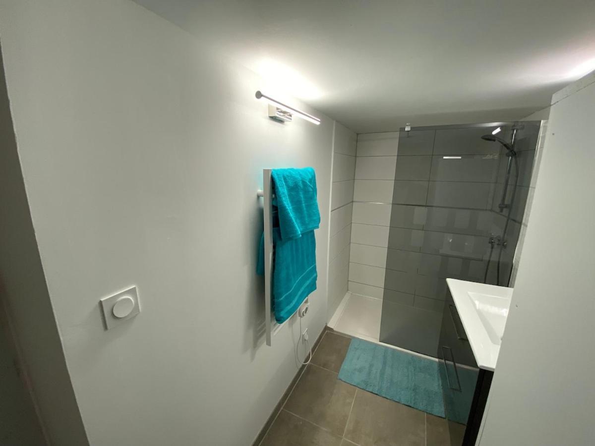 Superbe Appartement Climatise Avec Patio Montpellier Exteriör bild